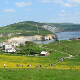 Image of Tennyson Down